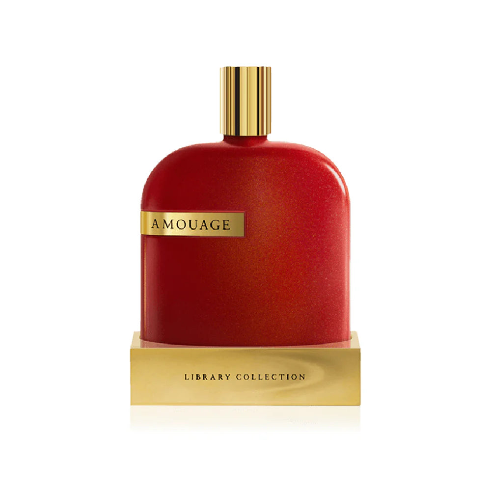 AMOUAGE OPUS X MAN EDP 100ML